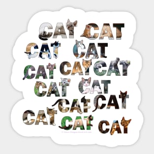 CATS CATS CATS - mixed cat breed oil painting word art Sticker